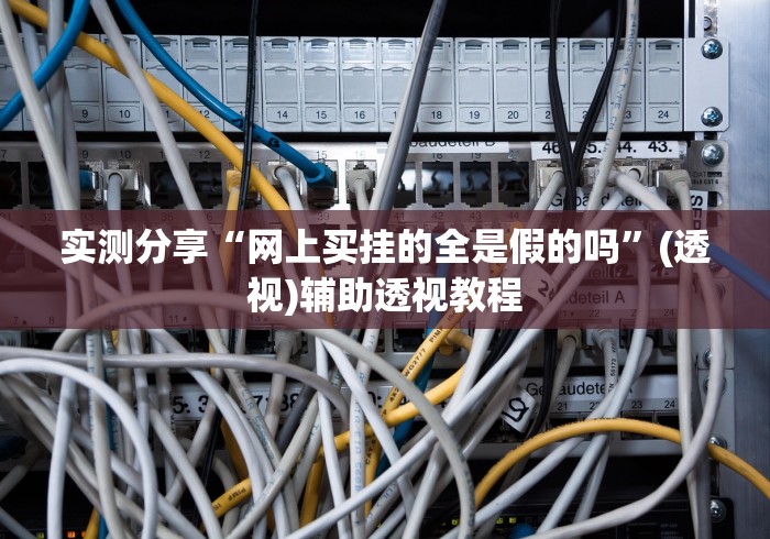 实测分享“网上买挂的全是假的吗	”(透视)辅助透视教程