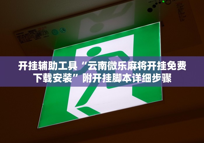 开挂辅助工具“云南微乐麻将开挂免费下载安装”附开挂脚本详细步骤
