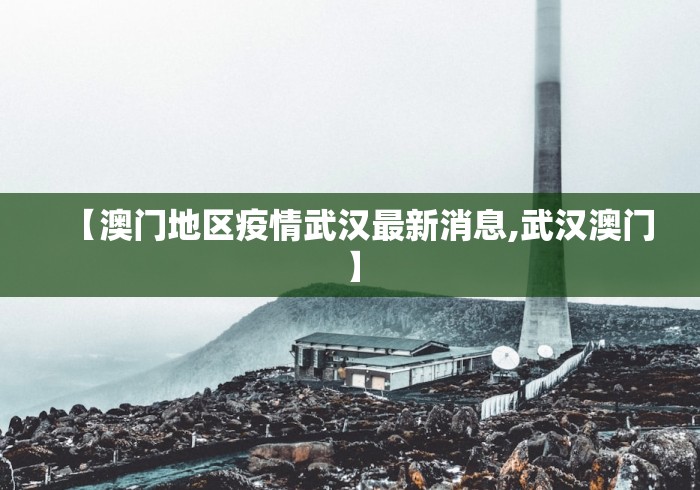 【澳门地区疫情武汉最新消息,武汉澳门】