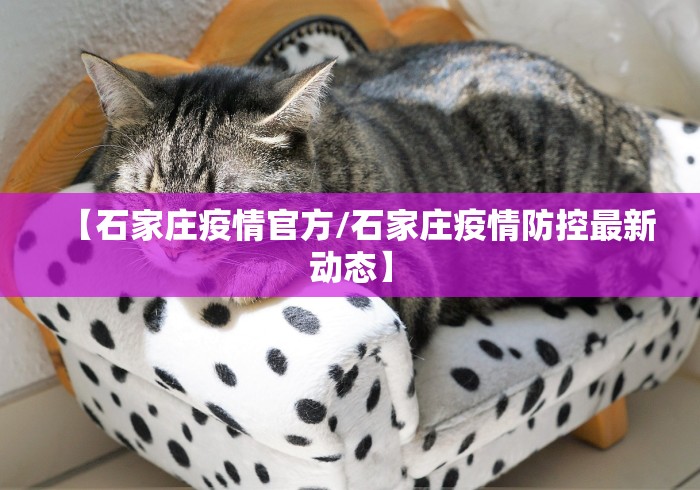 【石家庄疫情官方/石家庄疫情防控最新动态】 【石家庄疫情官方/石家庄疫情防控最新动态】