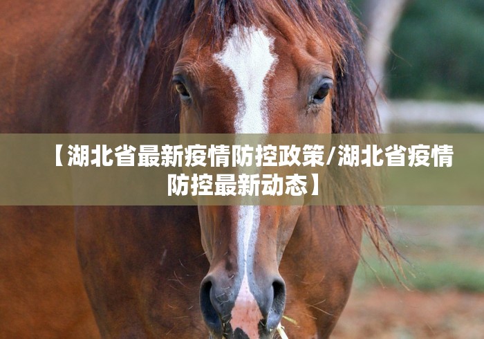 【湖北省最新疫情防控政策/湖北省疫情防控最新动态】