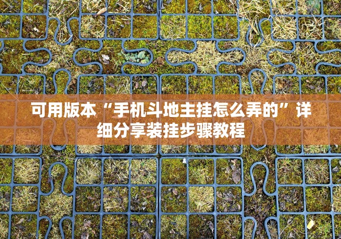 可用版本“手机斗地主挂怎么弄的”详细分享装挂步骤教程