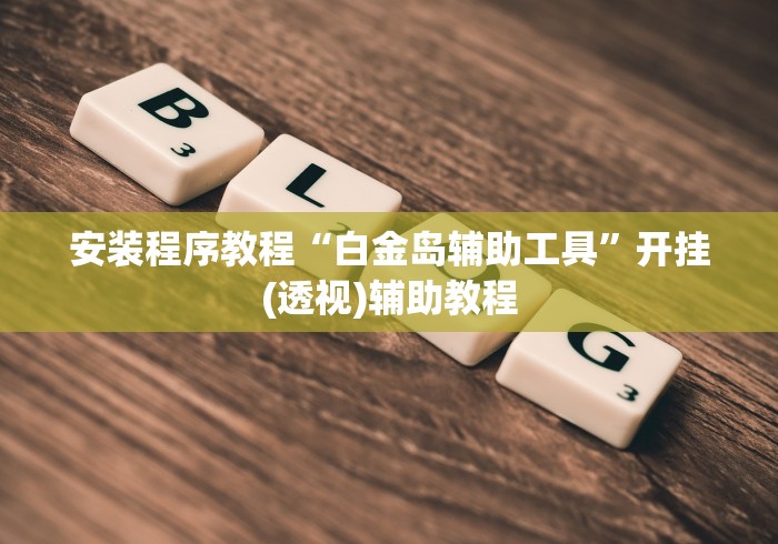 安装程序教程“白金岛辅助工具”开挂(透视)辅助教程