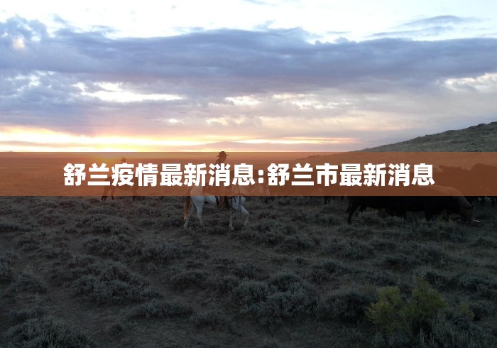 舒兰疫情最新消息:舒兰市最新消息