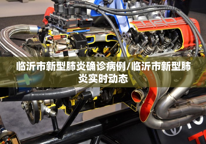 临沂市新型肺炎确诊病例/临沂市新型肺炎实时动态 临沂市新型肺炎确诊病例/临沂市新型肺炎实时动态