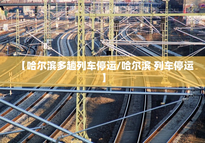 【哈尔滨多趟列车停运/哈尔滨 列车停运】