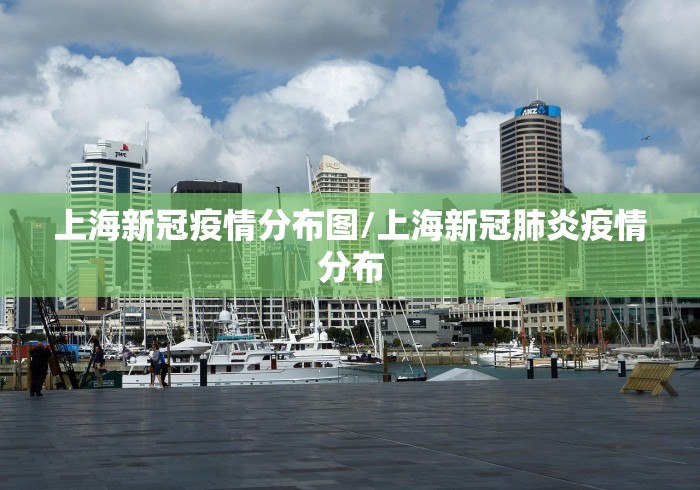 上海新冠疫情分布图/上海新冠肺炎疫情分布
