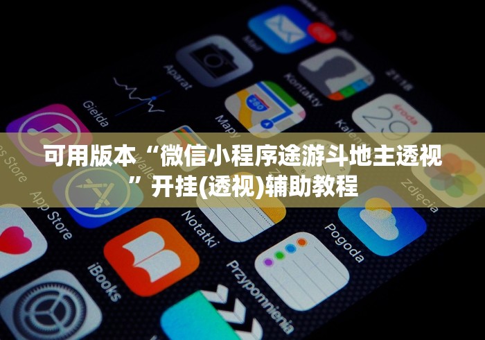 可用版本“微信小程序途游斗地主透视”开挂(透视)辅助教程