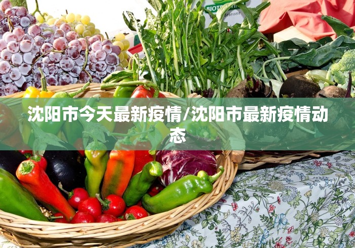 沈阳市今天最新疫情/沈阳市最新疫情动态 沈阳市今天最新疫情/沈阳市最新疫情动态
