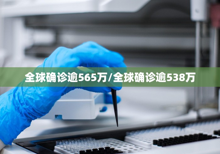全球确诊逾565万/全球确诊逾538万