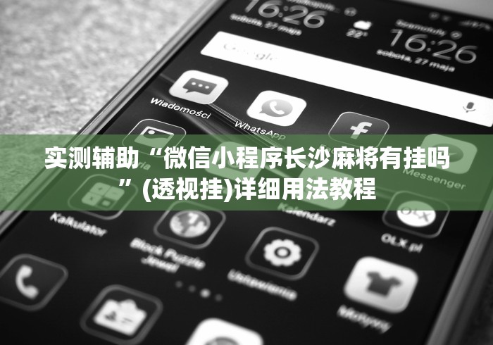 实测辅助“微信小程序长沙麻将有挂吗”(透视挂)详细用法教程