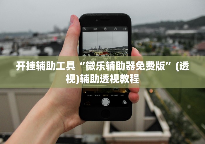 开挂辅助工具“微乐辅助器免费版”(透视)辅助透视教程