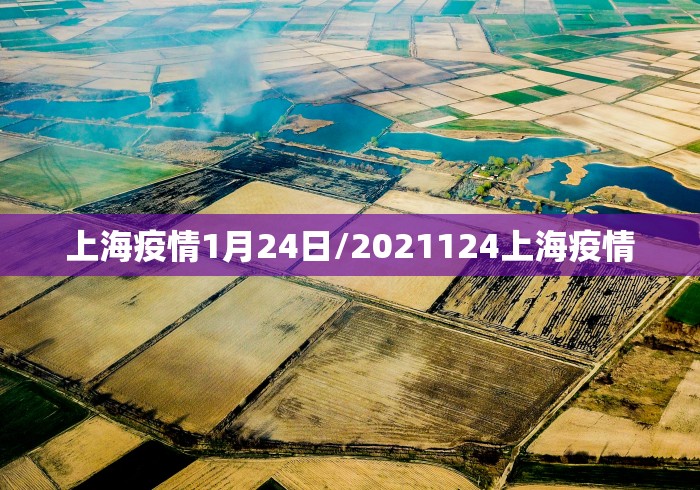 上海疫情1月24日/2021124上海疫情 上海疫情1月24日/2021124上海疫情