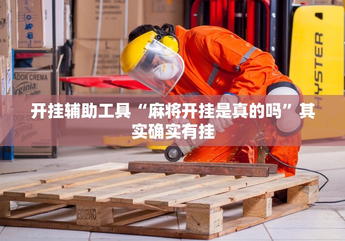 开挂辅助工具“麻将开挂是真的吗”其实确实有挂