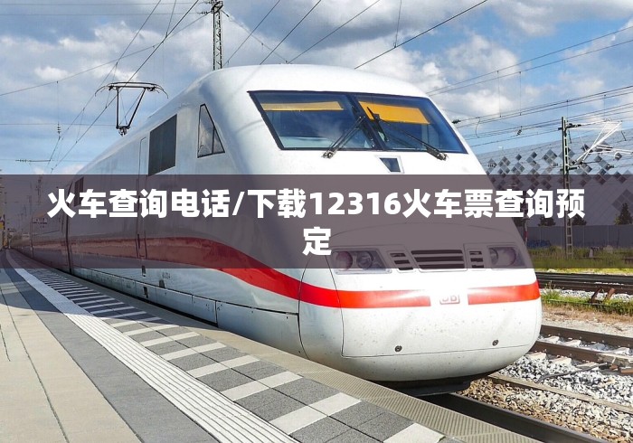 火车查询电话/下载12316火车票查询预定