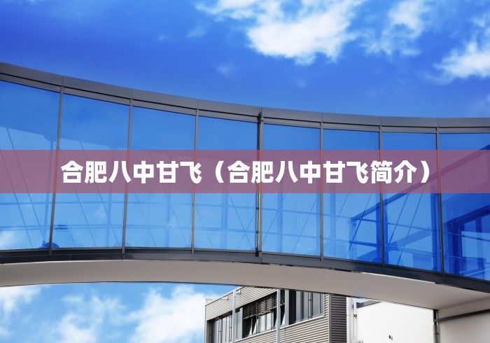合肥八中甘飞（合肥八中甘飞简介）