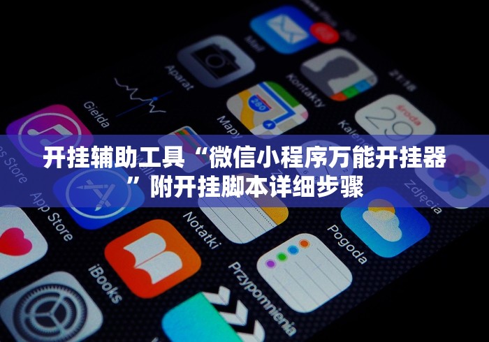 开挂辅助工具“微信小程序万能开挂器”附开挂脚本详细步骤