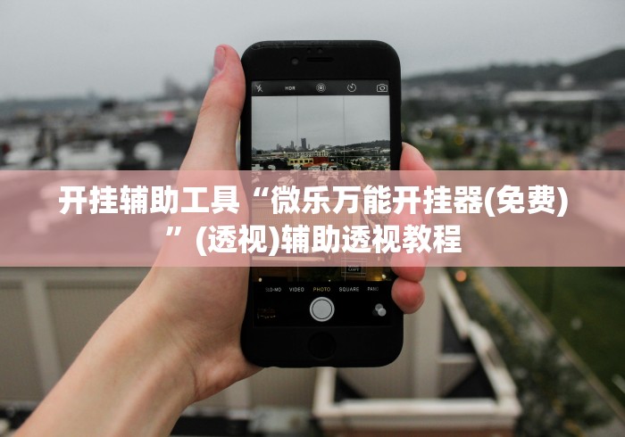 开挂辅助工具“微乐万能开挂器(免费)”(透视)辅助透视教程