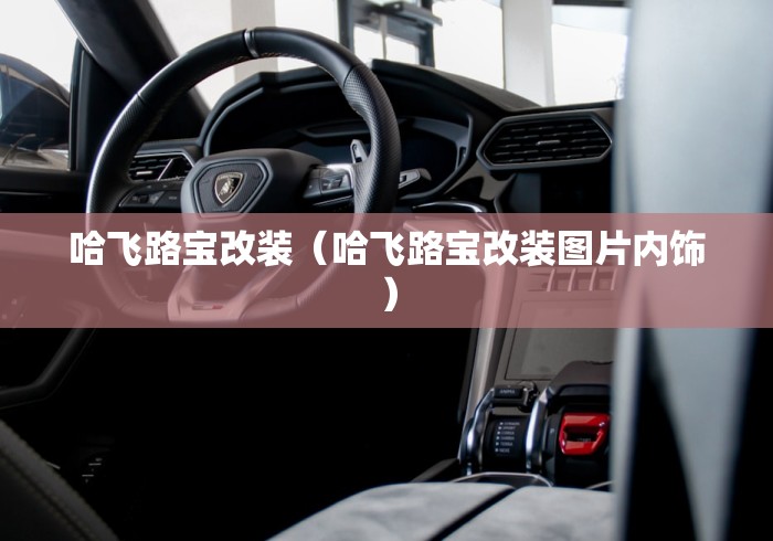 哈飞路宝改装（哈飞路宝改装图片内饰）