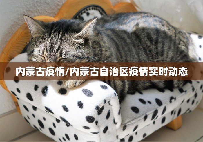 内蒙古疫惰/内蒙古自治区疫情实时动态 内蒙古疫惰/内蒙古自治区疫情实时动态