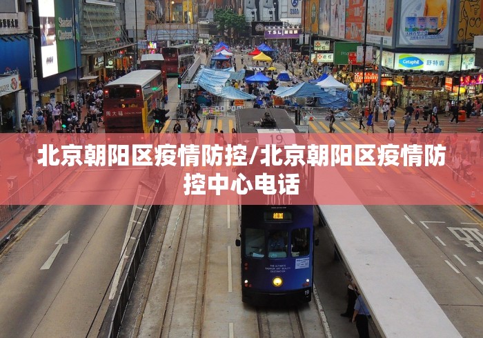 北京朝阳区疫情防控/北京朝阳区疫情防控中心电话