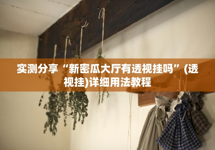 实测分享“新密瓜大厅有透视挂吗”(透视挂)详细用法教程