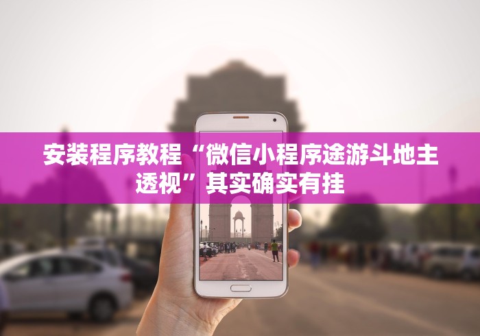 安装程序教程“微信小程序途游斗地主透视”其实确实有挂