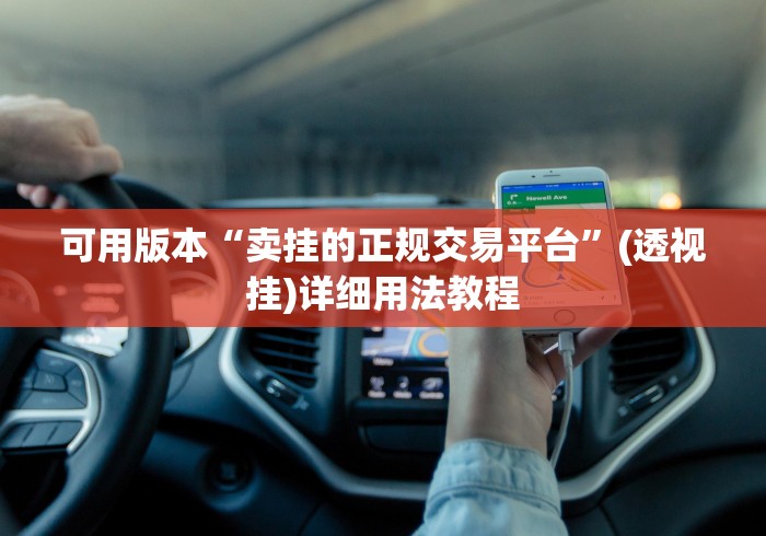 可用版本“卖挂的正规交易平台”(透视挂)详细用法教程