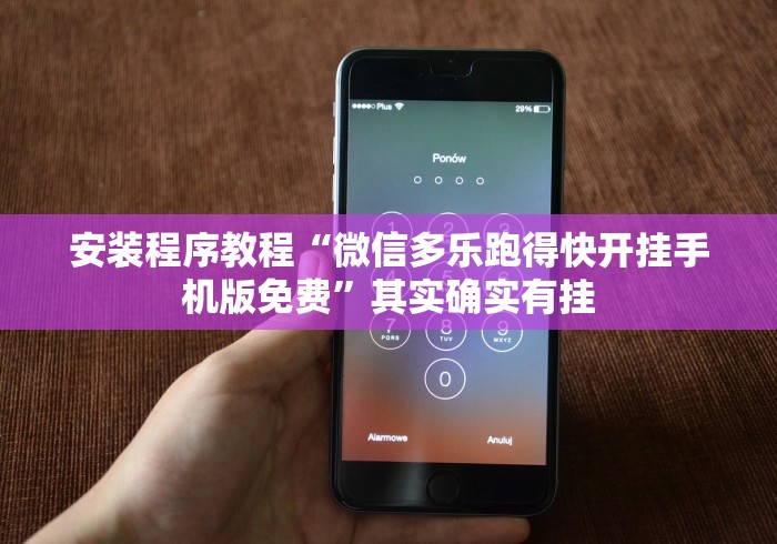 安装程序教程“微信多乐跑得快开挂手机版免费”其实确实有挂