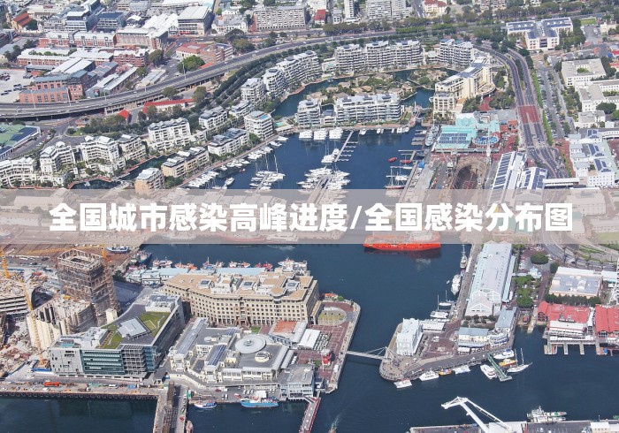 全国城市感染高峰进度/全国感染分布图