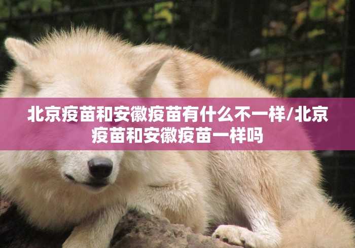 北京疫苗和安徽疫苗有什么不一样/北京疫苗和安徽疫苗一样吗
