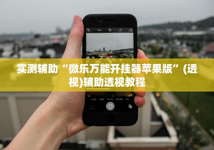 实测辅助“微乐万能开挂器苹果版”(透视)辅助透视教程