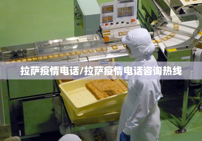 拉萨疫情电话/拉萨疫情电话咨询热线