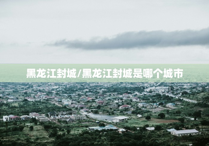 黑龙江封城/黑龙江封城是哪个城市