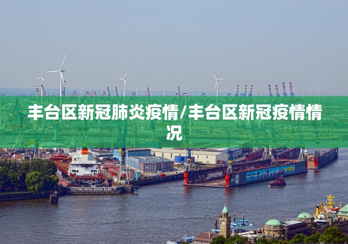 丰台区新冠肺炎疫情/丰台区新冠疫情情况