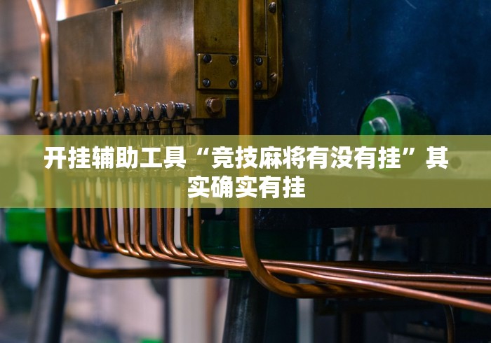 开挂辅助工具“竞技麻将有没有挂”其实确实有挂