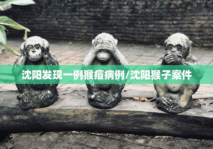 沈阳发现一例猴痘病例/沈阳猴子案件