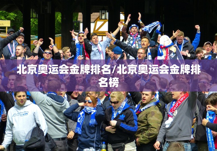 北京奥运会金牌排名/北京奥运会金牌排名榜