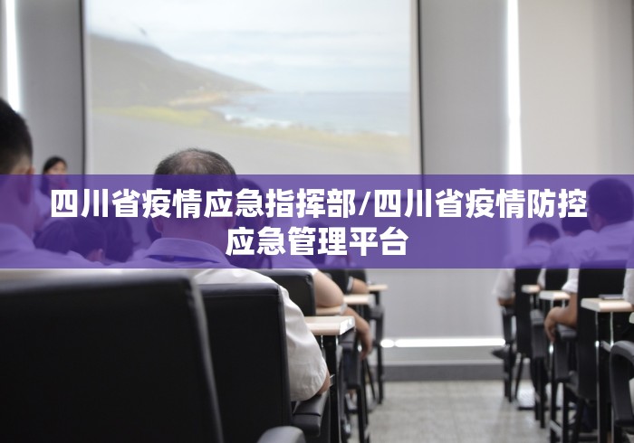四川省疫情应急指挥部/四川省疫情防控应急管理平台