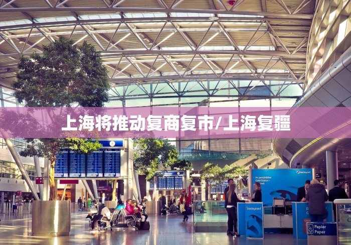 上海将推动复商复市/上海复疆