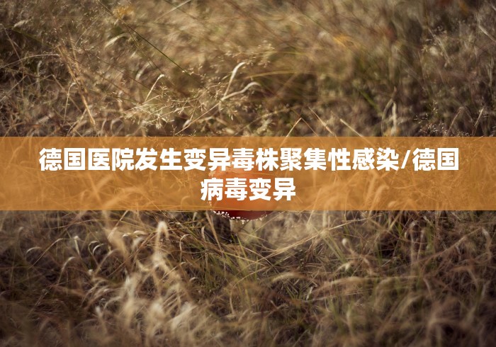 德国医院发生变异毒株聚集性感染/德国病毒变异
