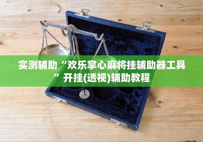 实测辅助“欢乐掌心麻将挂辅助器工具”开挂(透视)辅助教程