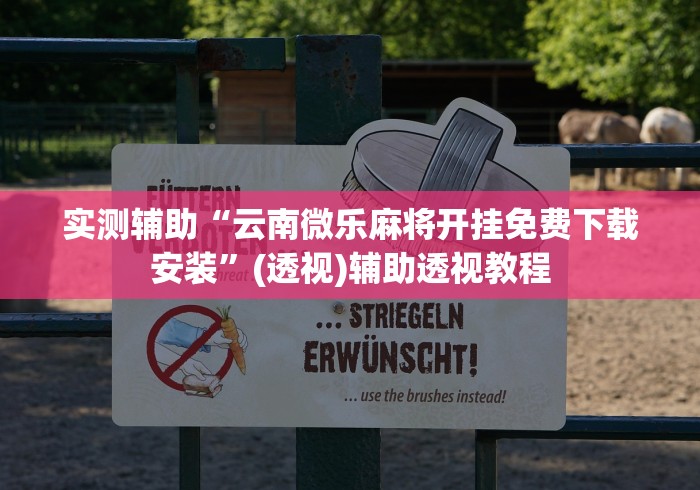 实测辅助“云南微乐麻将开挂免费下载安装”(透视)辅助透视教程