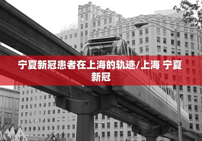 宁夏新冠患者在上海的轨迹/上海 宁夏 新冠