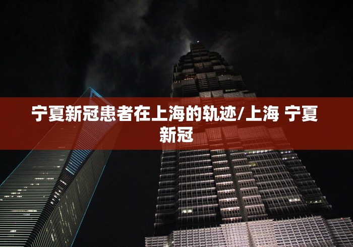 宁夏新冠患者在上海的轨迹/上海 宁夏 新冠