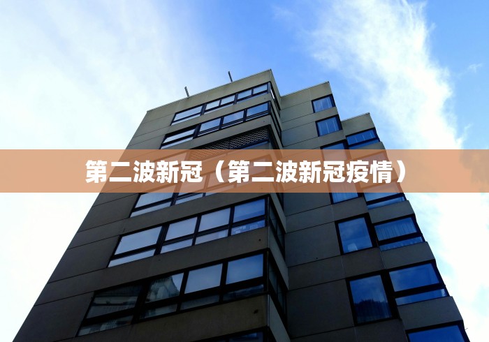 第二波新冠(第二波新冠疫情) 第二波新冠(第二波新冠疫情)