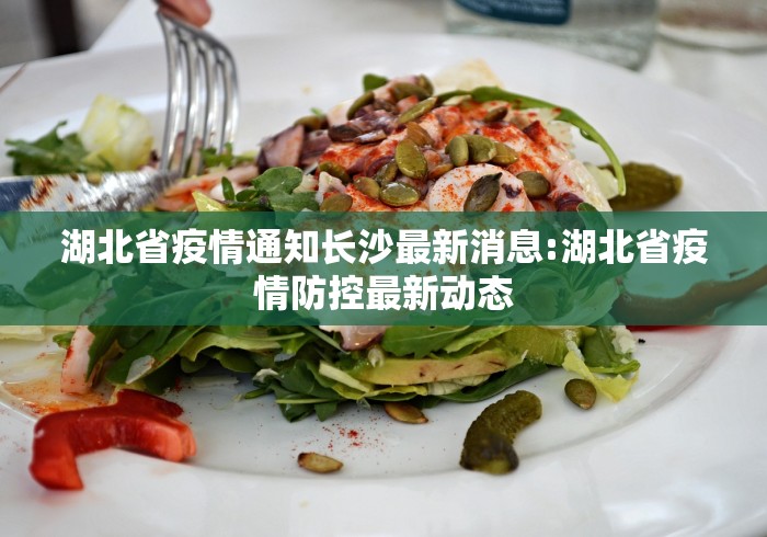 湖北省疫情通知长沙最新消息:湖北省疫情防控最新动态