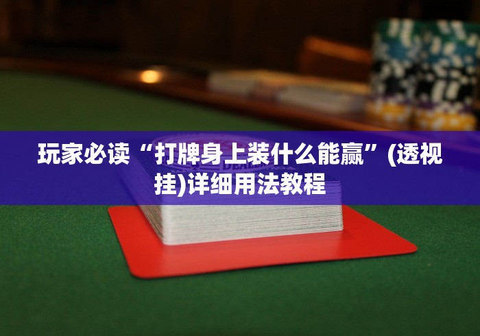 玩家必读“打牌身上装什么能赢”(透视挂)详细用法教程
