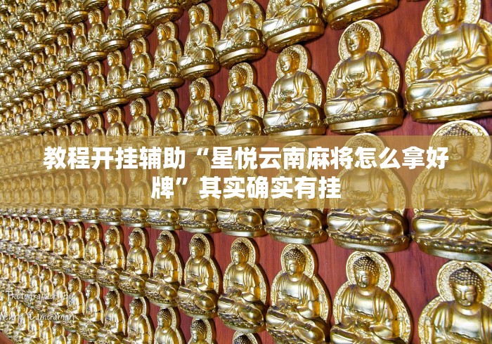 教程开挂辅助“星悦云南麻将怎么拿好牌”其实确实有挂