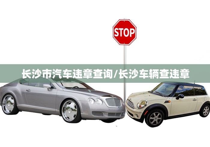 长沙市汽车违章查询/长沙车辆查违章